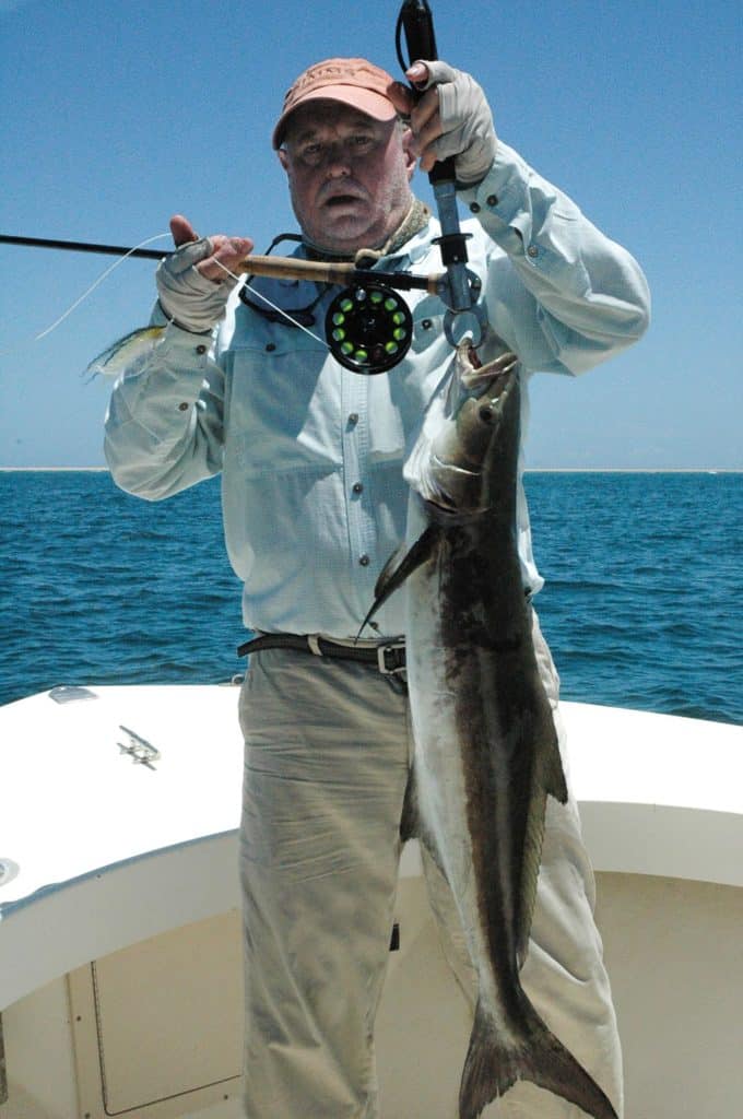 Large cobia held up on a boat