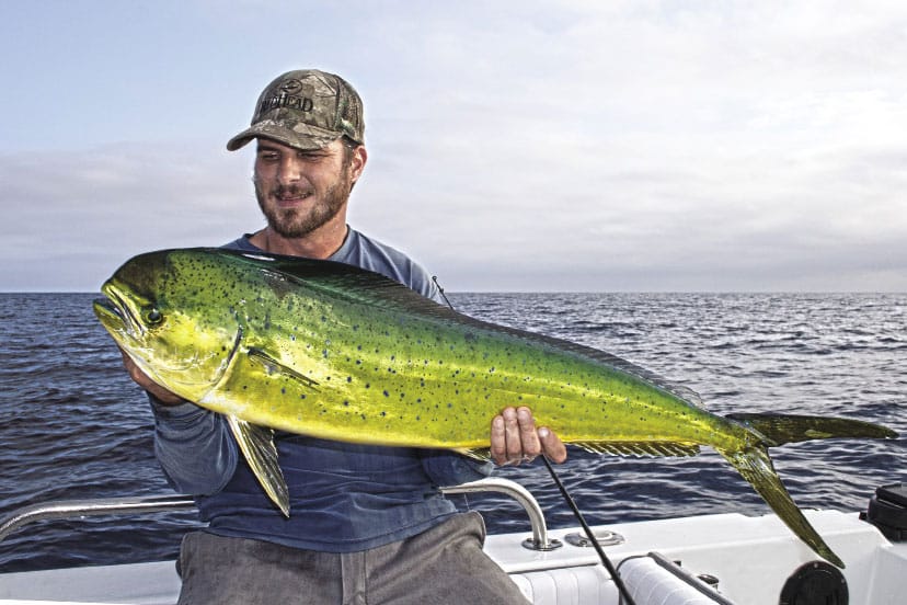 0713calimahi_opener.jpg