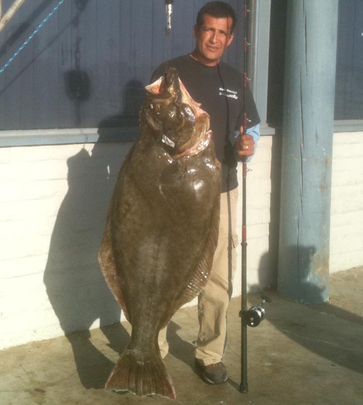 0811igfa_califonia-halibut.jpg