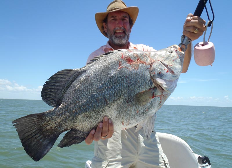 0811igfa_tripletail.jpg