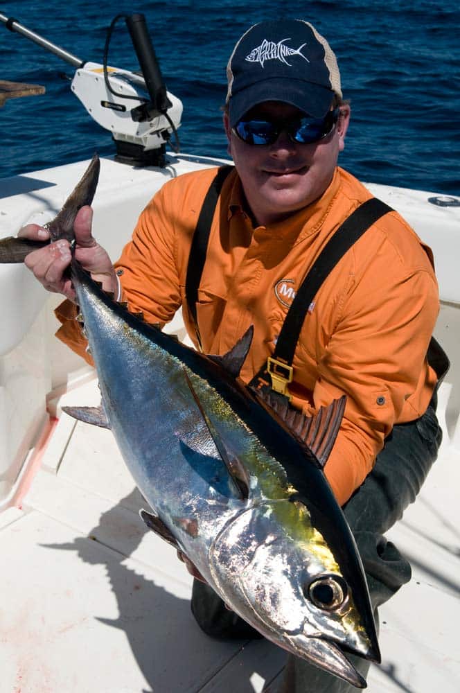 blackfin tuna off Louisiana
