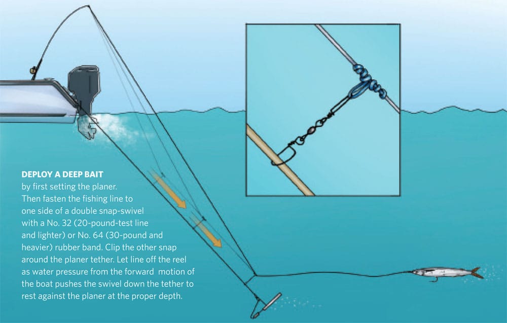 planers trolling offshore lure bait rig