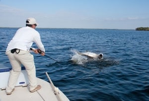 100-0410tarpon_fight.jpg