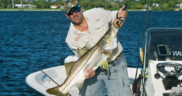 Southwest Florida Snook