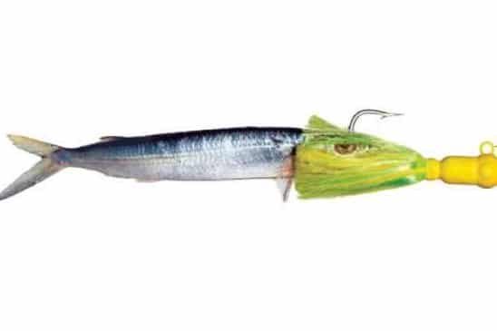 Mahi Mahi Fishing Rigs, How to Catch Dolphin