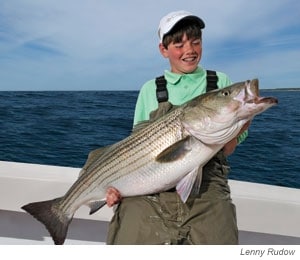 striped bass