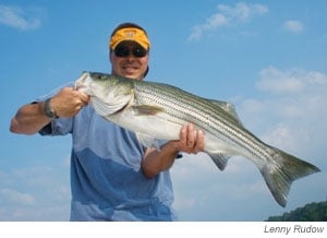 striped bass catch