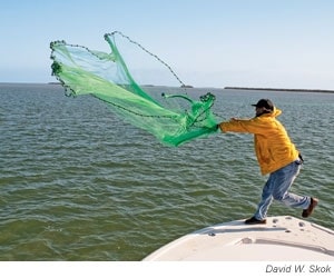 using cast net for striped bass