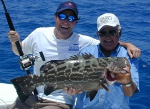 100-0909grouper_news.jpg