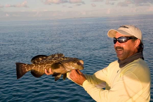 Snapper on the Rocks