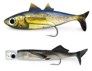 Williamson Goggle Eye and Live Ballyhoo Hybrids