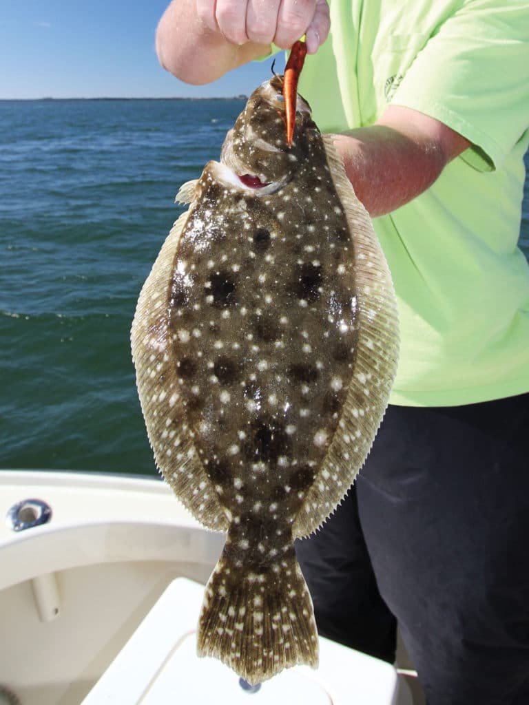 flounder north south tactics flatfish how-to