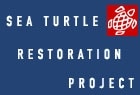 117-Sea_Turtle_Restoration.jpg