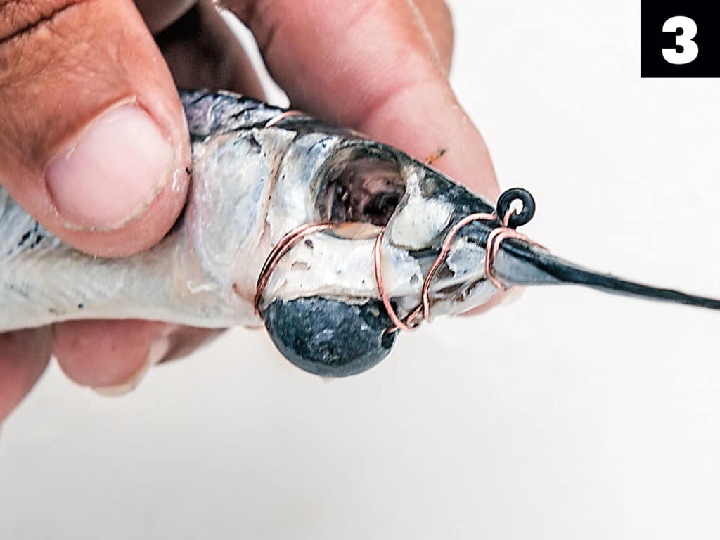 The Quickest Way To Rig A Ballyhoo With A Circle Hook [VIDEO]