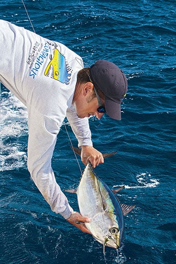 catching a blackfin tuna