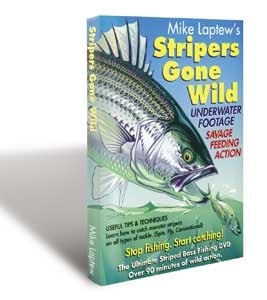 08stripers
