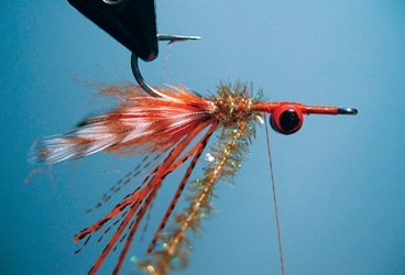 Tying the Beach Bug