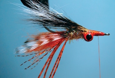 Tying the Beach Bug