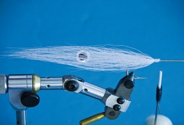 Tying the Feather Fleye Squid