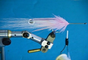 Tying the Feather Fleye Squid