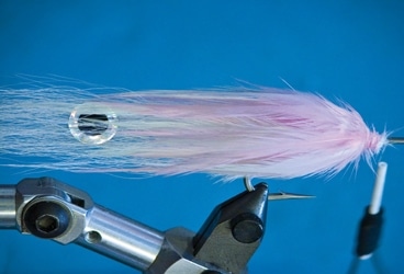 Tying the Feather Fleye Squid