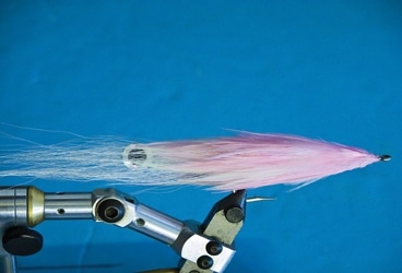 Tying the Feather Fleye Squid