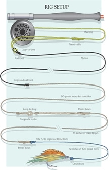 Fly Fishing Rigging for Sailfish