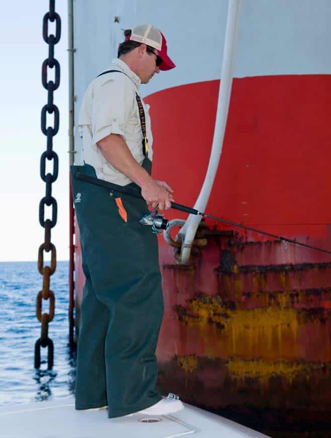 live bait near oil rig