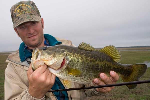 Shad on the St. John's