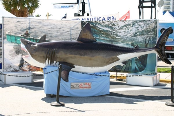 Miami International Boat Show 2010