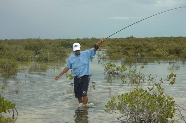 Turks and Caicos Bonefishing