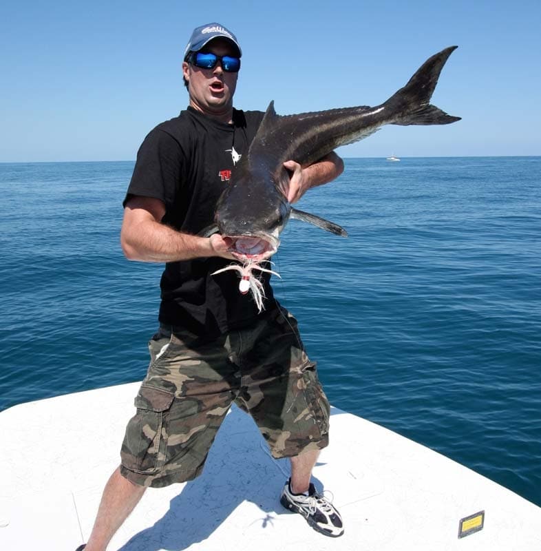 Space Coast Cobia