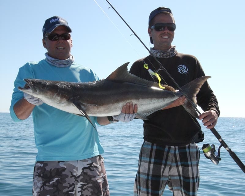 Space Coast Cobia