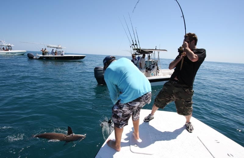 Space Coast Cobia