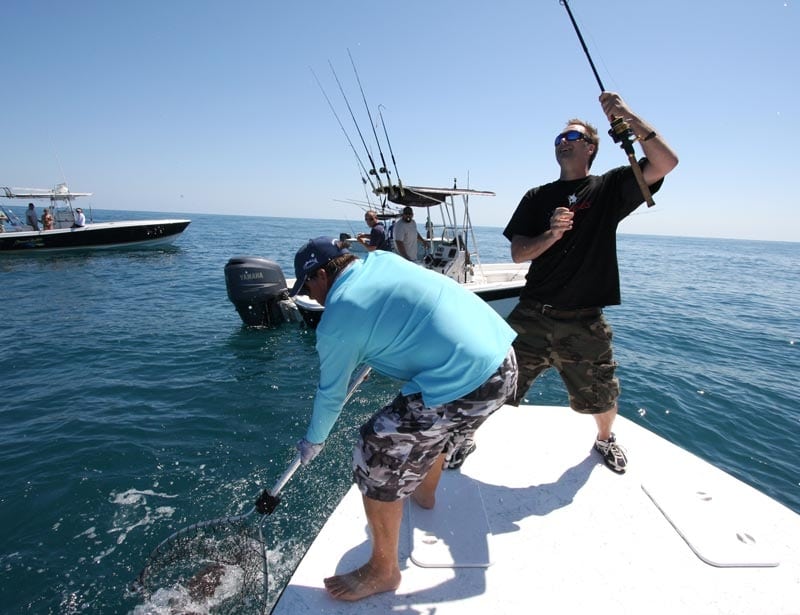 Space Coast Cobia