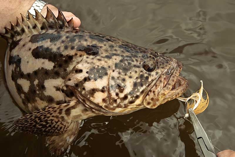 fishing the Florida Everglades