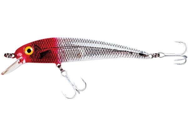 Texas Trout Lures