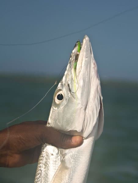 Fishing Belize