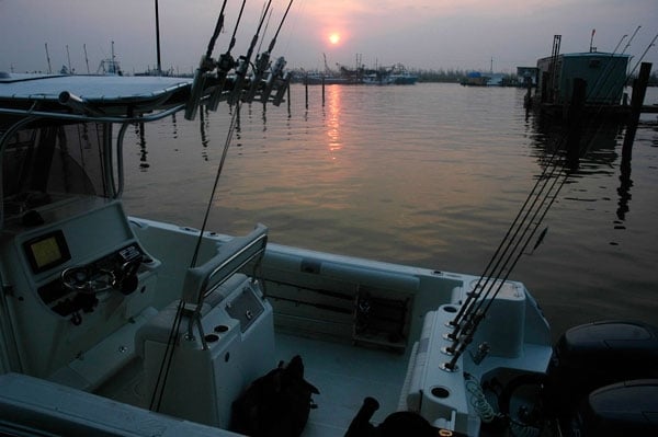 Northern Gulf Fishing