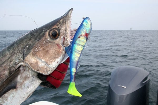 Northern Gulf Fishing