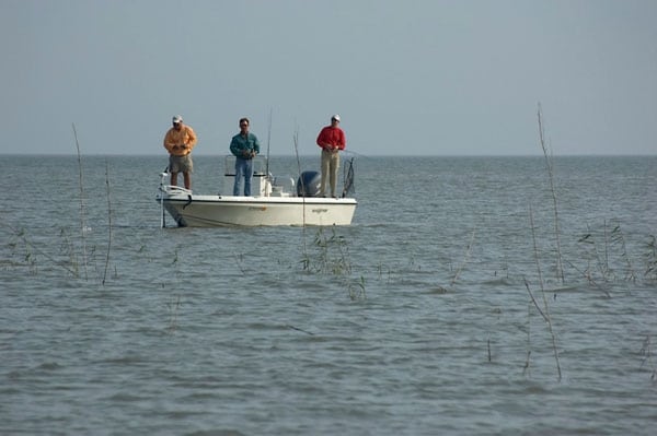 Northern Gulf Fishing