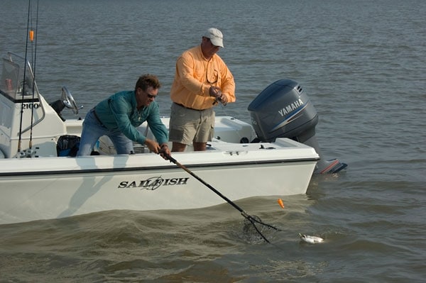 Northern Gulf Fishing