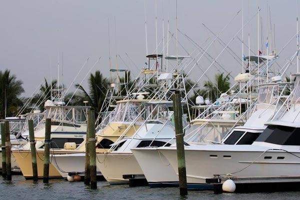 Guatemala offshore fishing