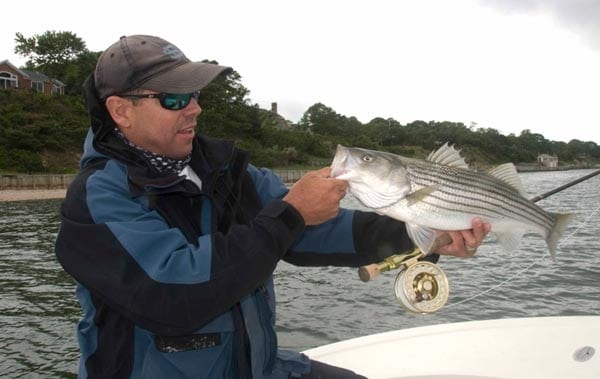 Long Island Stripers