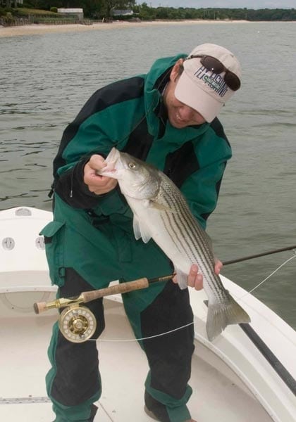 Long Island Stripers