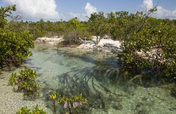 The Flats of South Andros