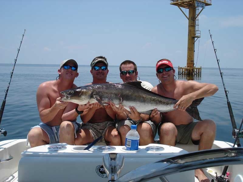 August 2008 Reader Photos
