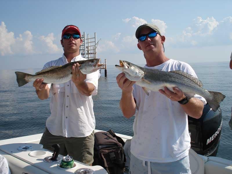 August 2008 Reader Photos