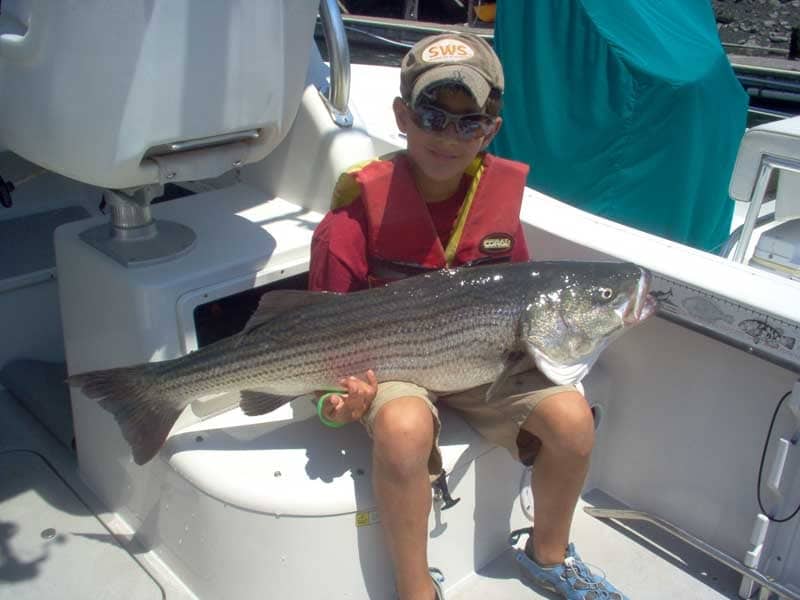 August 2008 Reader Photos