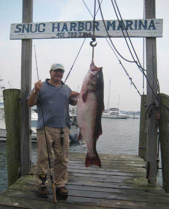 August 2008 Reader Photos